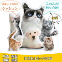 【送料無料】オーダーメイドクッション ペット 抱き枕 ギフト ペット ぬいぐるみ オーダーメイドクッション 仏具 メモリアルグッズ 抱き枕 オリジナルクッション ペット メモリアル ペット仏具 供養 記念品 愛犬 ネコ 犬 猫 プリント 母の日 七五三 ふわふわ 両面写真(3)