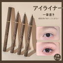 3本セット アイライナー リキッド スキルレスライナー 送料無料 / ブラック ブラウン / ウォータープルーフ 落ちない 滲まない 高発色 美容液 お湯オフ 筆
