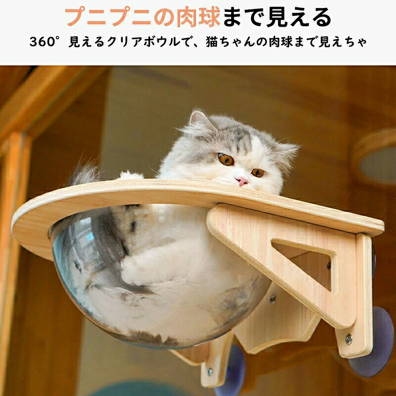 猫用 ハンモック キャットベッド 猫 宇宙船 ペット用 窓 ハンモック 宇宙船型 猫ベッド ベッド 強力吸盤 透明 クリアボウル 半球 取り付けタイプ 吸盤ハンモック 耐荷重 20kg 窓 壁 人気 かわいい 頑丈 おしゃれ 家 木製 寝る プレゼント 2