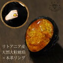 【送料無料】 天然 イエロー琥珀 本革細工 軽い リトアニア産 琥珀 フリーサイズ リング 指輪 フリーサイズ レディース アンバー コハク 天然 大粒 メンズ...