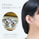 【まだ間に合う母の日】 天然 パール イヤリング 大粒 一粒 6月 誕生石 シルバー グレー 淡水パール 真珠 ジュエリー アクセサリー レディース ファッショ...