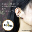 【1日限定1,111円クーポン】 天然 パール イヤリング ピアス 5連 天然石 真珠 6月 誕生石 チタンポスト ジュエリー アクセサリー レディースジュエリ...