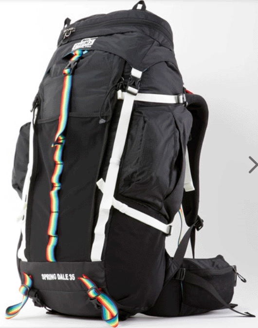 CHUMS　【チャムス】　スプリングデール35 2(リュック/デイパック)　バックパック　通学　通勤　CH60-2215