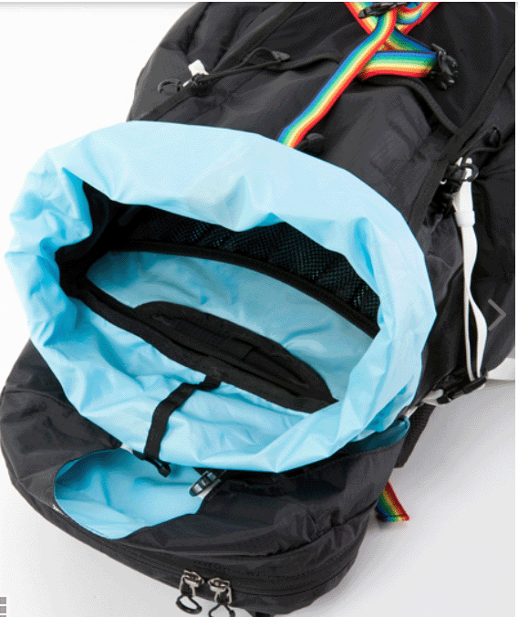 CHUMS　【チャムス】　スプリングデール35 2(リュック/デイパック)　バックパック　通学　通勤　CH60-2215