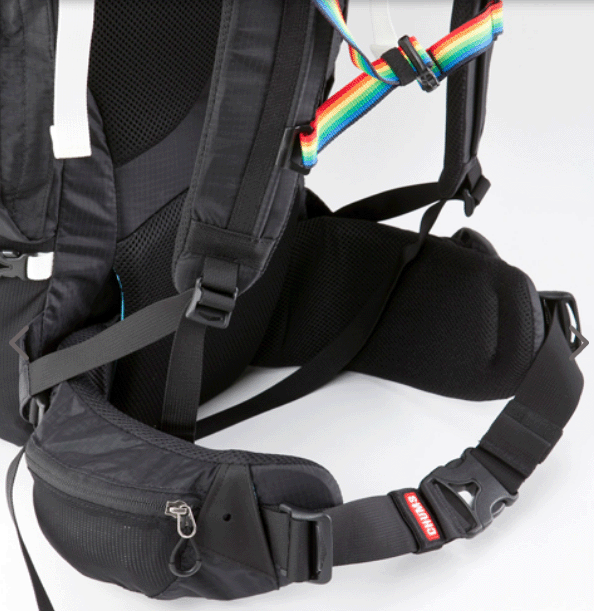 CHUMS　【チャムス】　スプリングデール35 2(リュック/デイパック)　バックパック　通学　通勤　CH60-2215