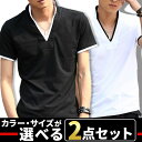お買い物マラソン限定 全品10%OFFクーポン&P2倍 まとめ買い サイズカラー選べる 2点セット 福袋 tシャツ メンズ 半袖 Vネック ポロシャツ スタンドカラー 無地 襟袖ライン キレイめ 細身 カジュアル