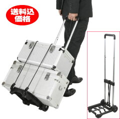 https://thumbnail.image.rakuten.co.jp/@0_mall/bargain-plaza/cabinet/05677300/mytycarry1.jpg