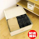 【値下げ処分】ファブリック 収納ボックス 48x60x19.5cmベッド下収納庫　インナーボックス 収納ケース【送料無料】