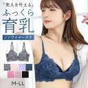 ＼楽天スーパーSALE半額以下★1199円／≪美人を叶える★脇高ノンワイヤーブラ≫ドゥモア 育乳 ブラジャー 脇高ブラ ノンワイヤー ナイトブラ 総レース ワイヤレスブラ ノンワイヤーブラ レディース ブラジャー単品 下着 送料無料