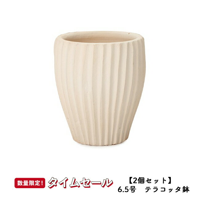 【秋の応援フェス】【2個セット】サフィ　36W　Sサイズ 　≪植木鉢/陶器/白系テラコッタ/素焼き鉢/セール対象4J/セール対象1≫のサムネイル