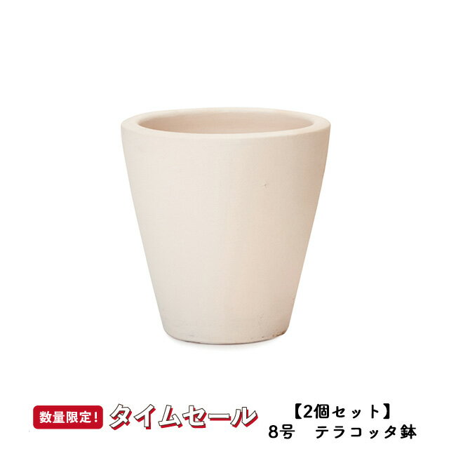 【秋の応援フェス】【2個セット】サフィ　E23W　M≪植木鉢/陶器/白系テラコッタ/素焼き鉢/セール対象4J/セール対象1≫のサムネイル