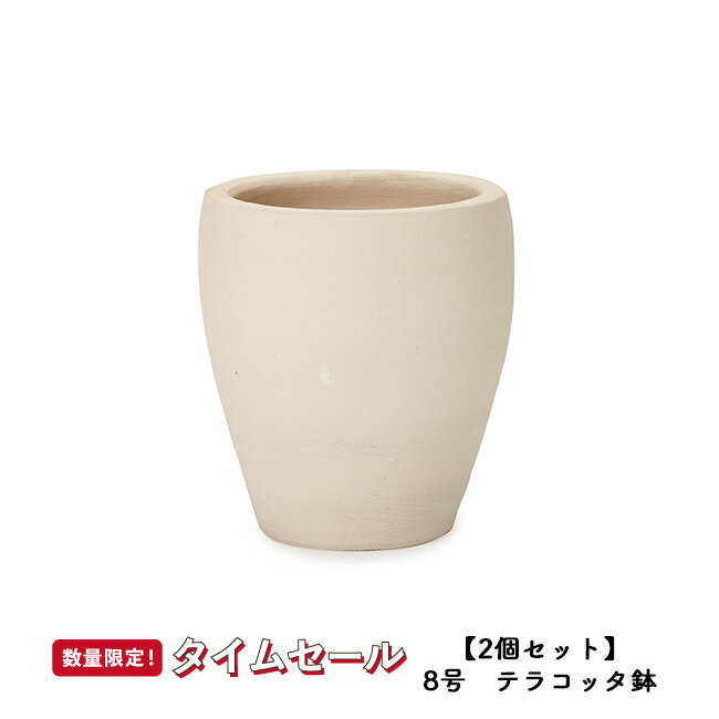 【春の応援フェス】【2個セット】サフィ　E30W　Mサイズ 　≪植木鉢/陶器/白系テラコッタ/素焼き鉢/セール対象4J/セール対象1≫のサムネイル