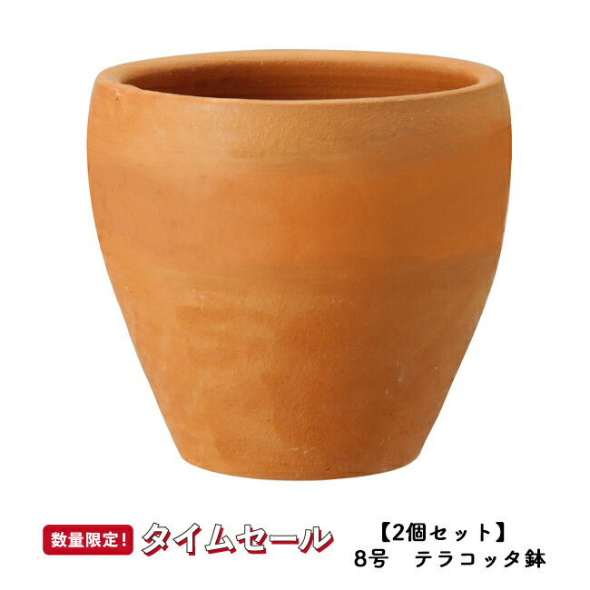 【秋の応援フェス】【2個セット】テラコッタ　E30　Mサイズ 　≪植木鉢/陶器/テラコッタ・素焼き鉢系/セール対象4J/セール対象3≫のサムネイル