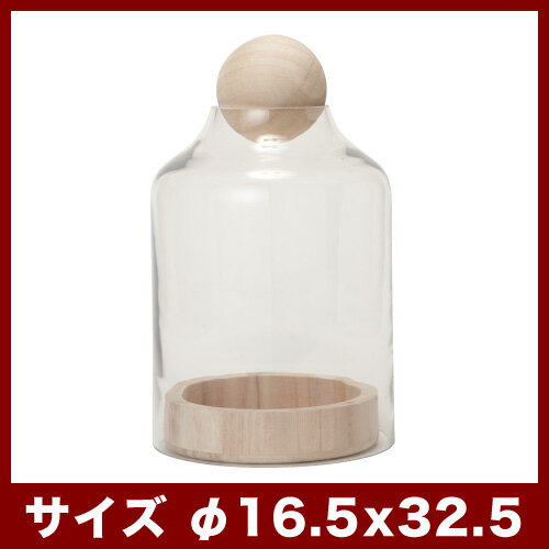 テラリウム TL ≪植木鉢 ガーデン雑貨 テラリウム おしゃれ かわいい 多肉植物 インテリア セール対象F≫ [2]