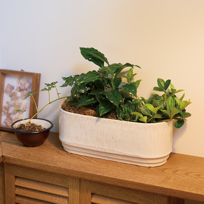 植木鉢/ガーデン雑貨/鉢カバー/おしゃれ/かわいい/インテリア/小型/中型 ◆サイズ 外寸 幅 30cm / 奥行 11.5cm / 高さ 11.5cm※底穴なし、3寸ポットが3個並んで入ります ご購入前にお読みください 植木鉢の特性 / ...