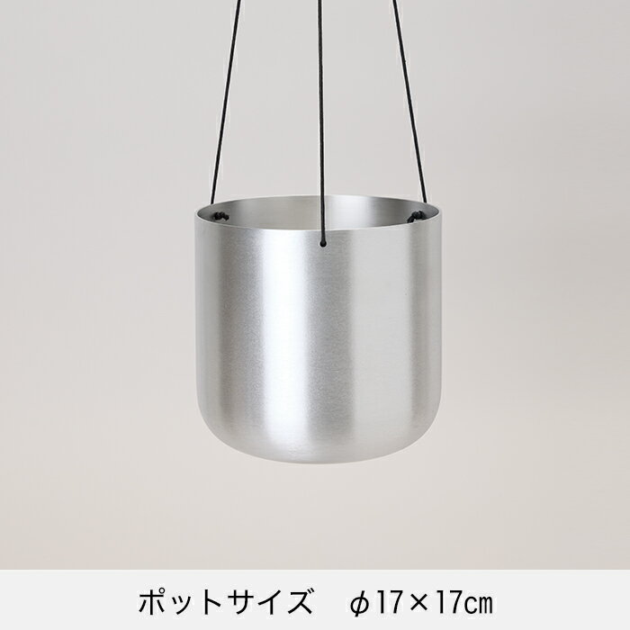 �ڿ���ȭ�ۥ������ϥ󥮥� 17 A�ڿ���ȭ ������� ȭ���С� �����ǥ󻨲� ���襤�� ����ƥꥢ ����ߡ�