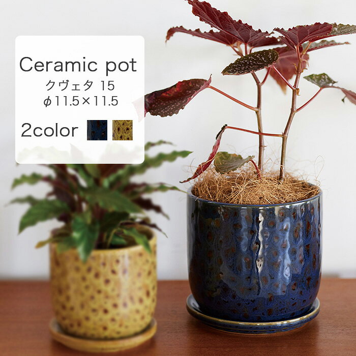 樂天商城 - 受け皿付き陶器鉢 クヴェタ 15【植木鉢 おしゃれ ガーデン雑貨 かわいい インテリア 室内 屋内 】