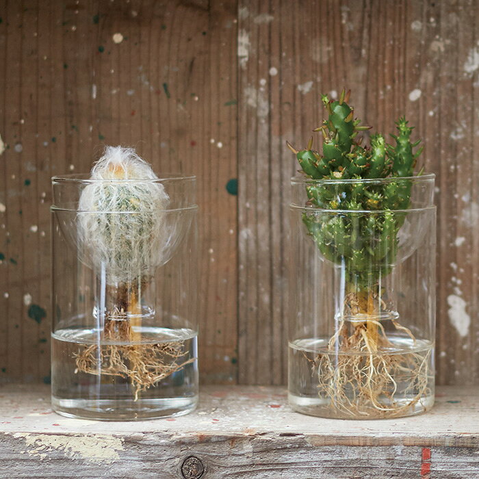 カットボトルベイス 14 ≪植木鉢 ガーデン雑貨 ガラス おしゃれ かわいい 水耕栽培 水栽培 サボテン フラワーベース インテリア≫ [3]