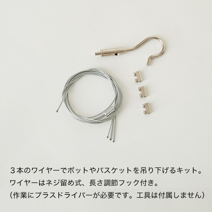 �磻�䡼�ϥ󥮥󥰥��å� �ڿ���ȭ ������� ȭ���С� �����ǥ󻨲� ���襤�� ����ƥꥢ��