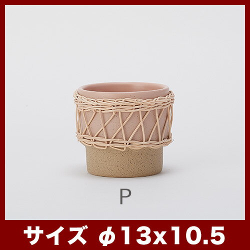 �ڿ���ȭ�ۥ����ͥ� 10�ڿ���ȭ ������� ȭ���С� �����ǥ󻨲� ���襤�� ����ƥꥢ �ߥ˥ݥåȥ��С� �������о�F��