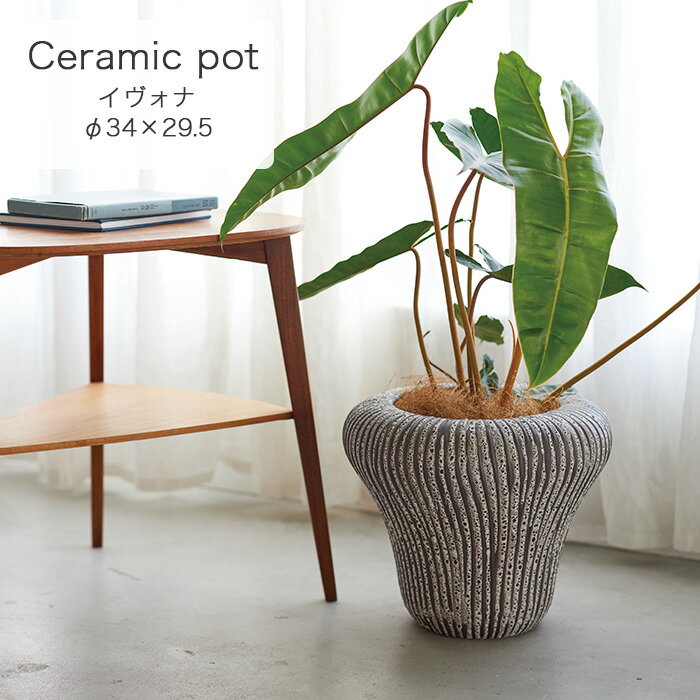 イヴォナ 29 C ≪植木鉢 鉢カバー プランター おしゃれ 軽量 インテリア インドア 室内 FARM1≫
