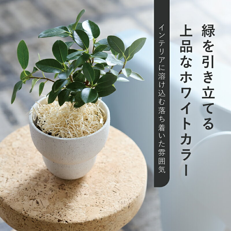 【植木鉢】ミンケ 13【植木鉢 おしゃれ 鉢カバー ガーデン雑貨 かわいい インテリ...