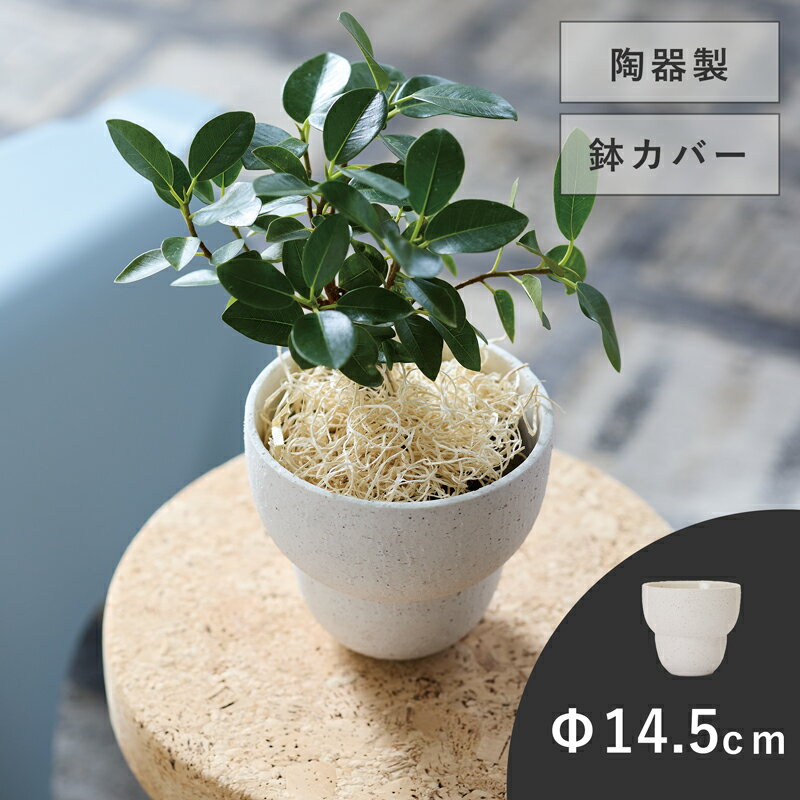 【植木鉢】ミンケ 13【植木鉢 おしゃれ 鉢カバー ガーデン雑貨 かわいい インテリア 陶器】