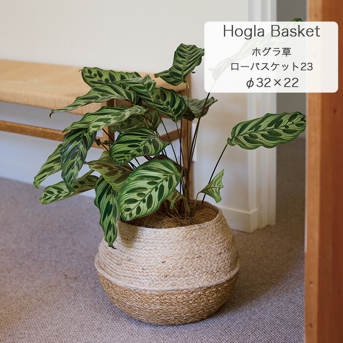 【植木鉢】ホグラ草/ジュート ローバスケット 23【植木鉢 おしゃれ 鉢カバー ガーデン雑貨 かわいい インテリア FARM4】