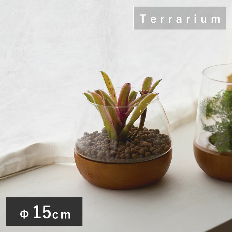 樂天商城 - 【植木鉢】【ガーデン雑貨】スモール テラリウム F 15【植木鉢 おしゃれ 鉢カバー ガーデン雑貨 かわいい インテリア コケリウム エアプランツ ハイドロカルチャー】