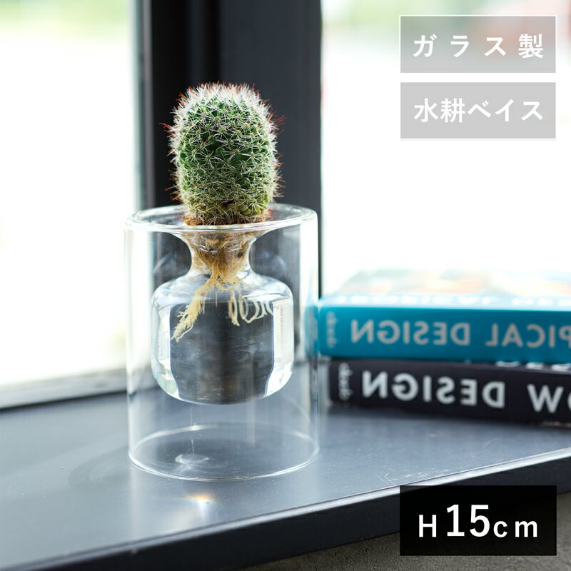 樂天商城 - イルヴァ アクアカルチャーベイス 15 C　≪植木鉢 ガーデン雑貨 ガラス おしゃれ かわいい フラワーベース 花瓶 インテリア 水栽培 球根 水耕栽培 サボテン≫
