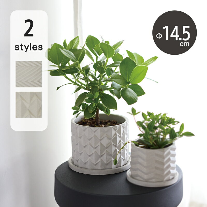 植木鉢　鉢カバー　ナチュラルウッド ポウロニア ユーポット L40 花・観葉植物用ポット ナチュラルウッド ポウロニア ユーポット XS 14