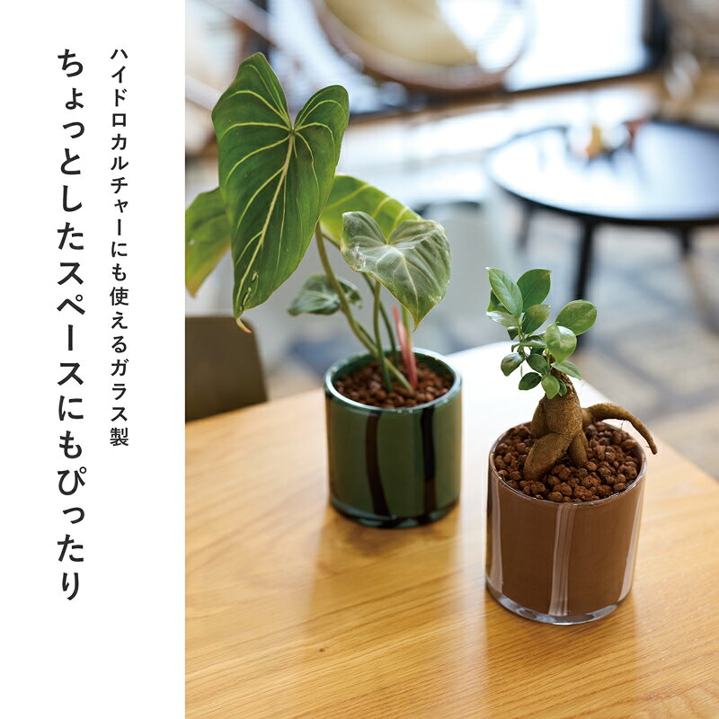 エディタ 10【植木鉢 おしゃれ 鉢カバー ガ...の紹介画像2