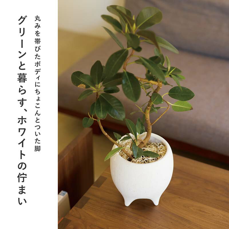 ソフィ 13【植木鉢 おしゃれ 鉢カバー ガーデン雑貨 かわいい インテリア FARM 】