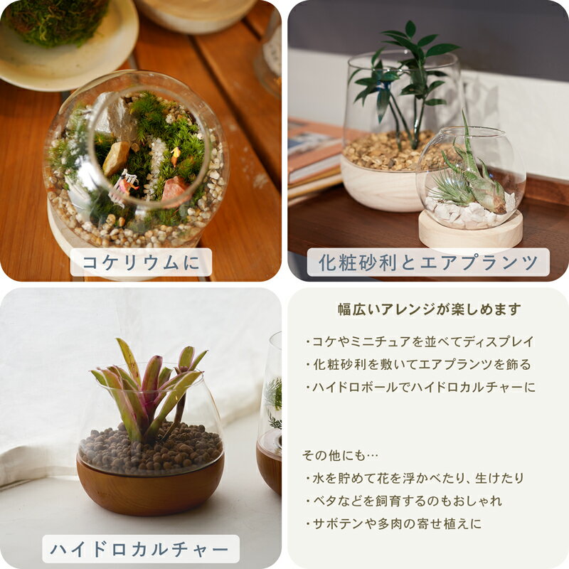 【植木鉢】【ガーデン雑貨】スモール テラリウム N 15【植木鉢 おしゃれ 鉢カバー ガーデン雑貨 かわいい インテリア コケリウム エアプランツ ハイドロカルチャー】