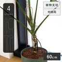 【1本】ラーケル支柱 L ≪ 植木鉢 ガーデン雑貨 おしゃれ かわいい 植物支柱 小さめ 小さい 小さい鉢 植物用支柱 植物サポート 園芸支柱 植物用くい 誘引 支え 支柱立て 園芸 室内 ステンレス ガーデニング用品≫