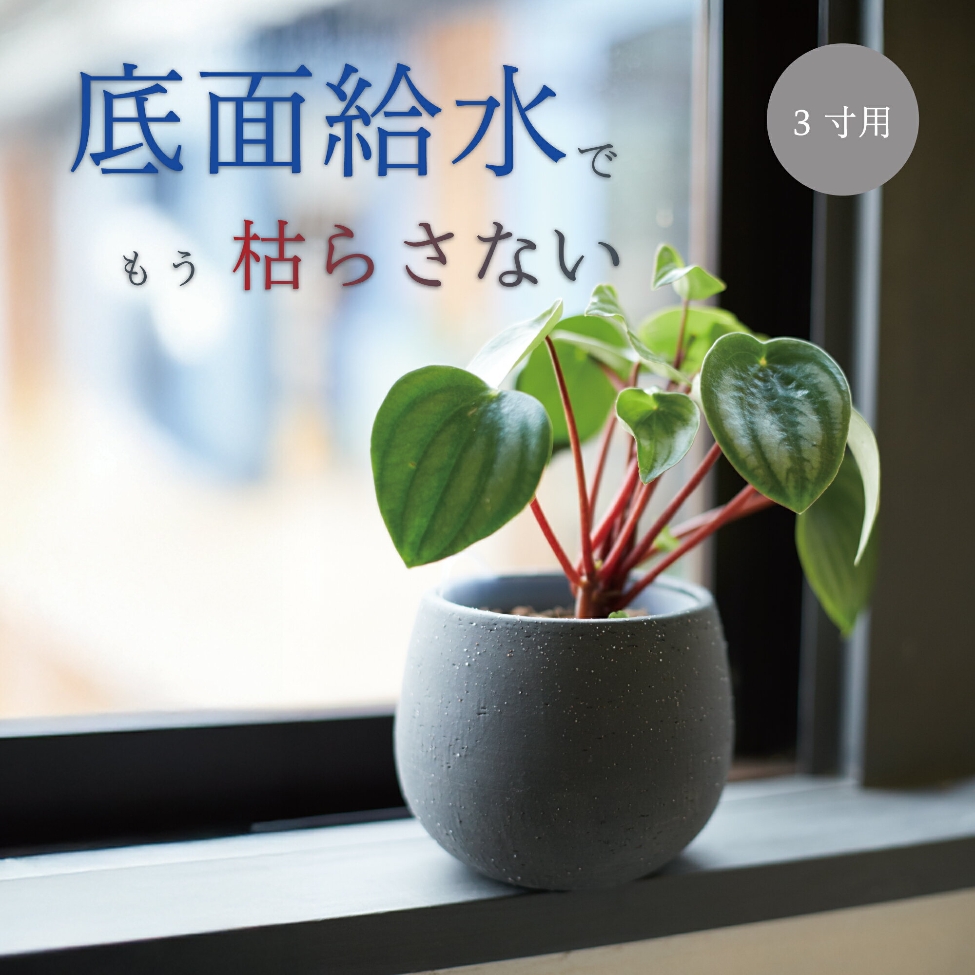 楽天市場】植木鉢 テラコッタ 3号の通販 楽天市場】植木鉢 テラコッタ 3号の通販