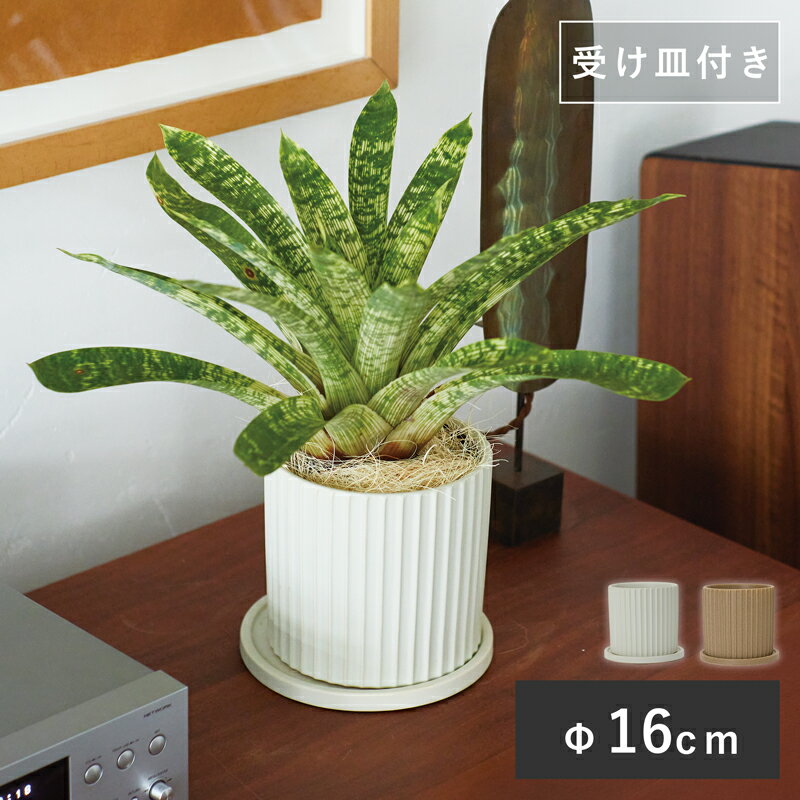 乐天商城 - イロ 16 受け皿付き【植木鉢 おしゃれ 鉢カバー ガーデン雑貨 かわいい インテリア FARM】