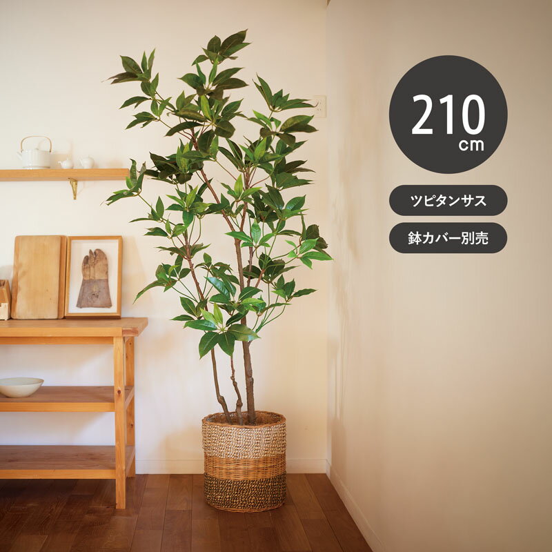 【フェイクグリーン】 ツピタンサス ポット 210 【インテリア 観葉植物 人工植物 おしゃれ イミテーション 造花 グリーン おしゃれ リビング 店舗】