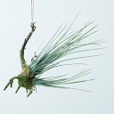 【造花】【フェイクグリーン】チランジア 着生 シルバー(麻紐付) 【インテリア 観葉植物 人工植物 おしゃれ エピフィティック 吊り下げ】