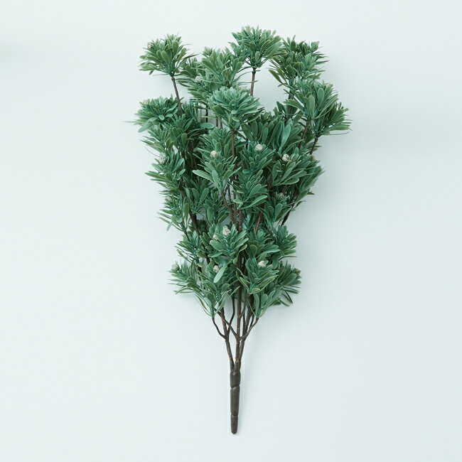 樂天商城 - 【造花】【フェイクグリーン】 リューカデンドロン ブッシュ シルバー【インテリア 観葉植物 人工植物 おしゃれ 壁掛け リーフ】