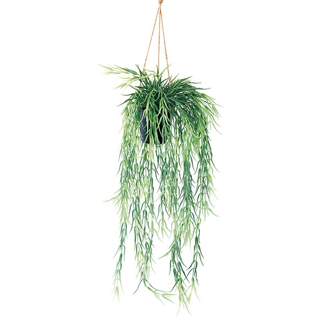 樂天商城 - 【フェイクグリーン】 リプサリス FL ハンギングポット 【インテリア 観葉植物 人工植物 おしゃれ イミテーション 】