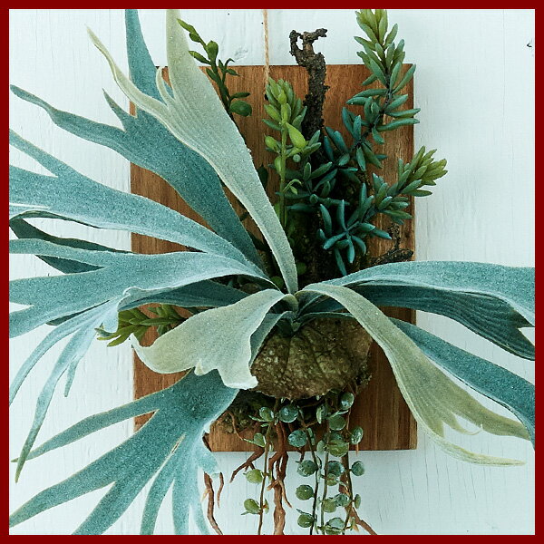 ��¤�֡ۡڥե��������꡼��� �ӥ������� ��������ϥ󥮥� ��������20 �ڥ���ƥꥢ ���� ����󥸥��� ���տ�ʪ �͹���ʪ ������� �ɳݤ� ��������� FARM BROWN��