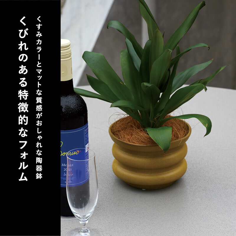 【植木鉢】オイリ 10【植木鉢 おしゃれ 鉢カバー ガーデン雑貨 かわいい インテリ...