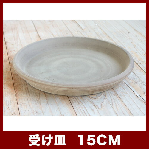 �����������⥫������ե������ȡ�15 ���㿢��ȭ �����ꥢ��ƥ饳�å�ȭ �ǾƤ�ȭ �����ꥢ��