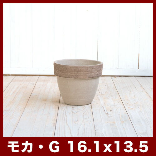 �ѥ�ǥ������⥫������ե������ȡ�5�� ���㿢��ȭ �����ꥢ��ƥ饳�å�ȭ �ǾƤ�ȭ �����ꥢ��