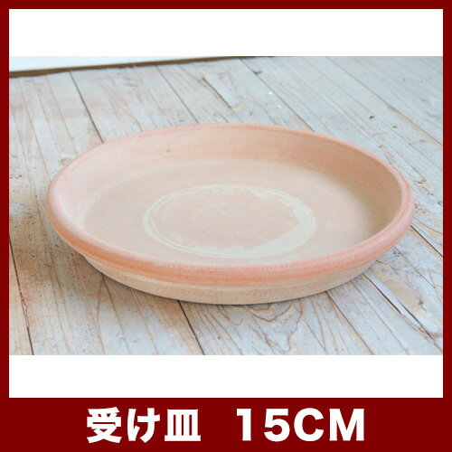 �������������꡼��/�ƥ顦����ե������ȡ�15 ���㿢��ȭ �����ꥢ��ƥ饳�å�ȭ �ǾƤ�ȭ �����ꥢ��