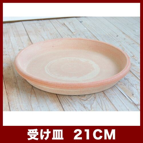 �������������꡼��/�ƥ顦����ե������ȡ�21 ���㿢��ȭ �����ꥢ��ƥ饳�å�ȭ �ǾƤ�ȭ �����ꥢ��