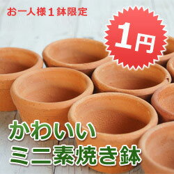 【単品注文不可】おしゃれで可愛いミニ素焼き鉢　≪植木鉢/陶器鉢/テラコッタ/素焼き鉢≫