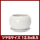 ルッカT.T. HG12 白ツヤ 4号受け皿付き ≪植木鉢/おしゃれ/陶器鉢/室内/白黒磁器≫