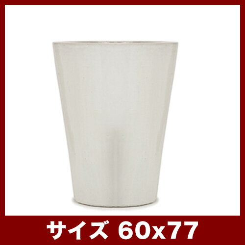 【B品】【法人・店舗かつ自分で荷降ろしできる方限定】ウーヌス コニック　20号 　...